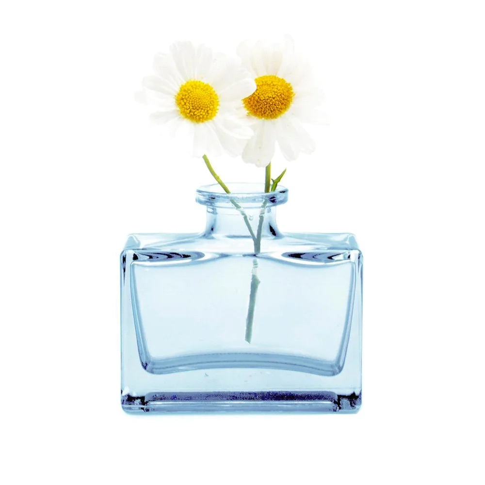 Chive Mini Glass Bud Vase - Blue Rectangle